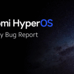 Hyoeros Bug Report
