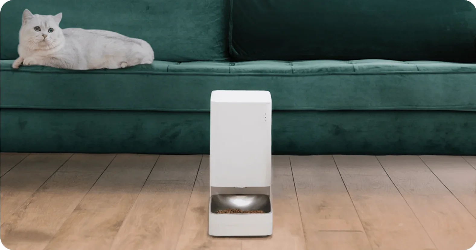 Xiaomi Smart Pet